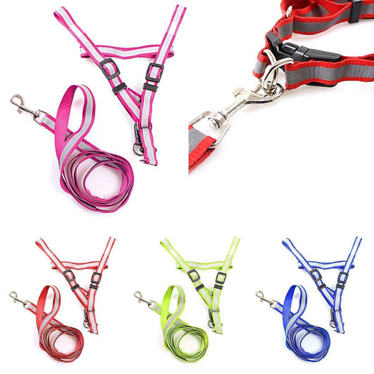Nylon Bright Lightweight & Reflective Dog Leash With Extra Strong Harness Pet 3199 (Large Letter Rate)