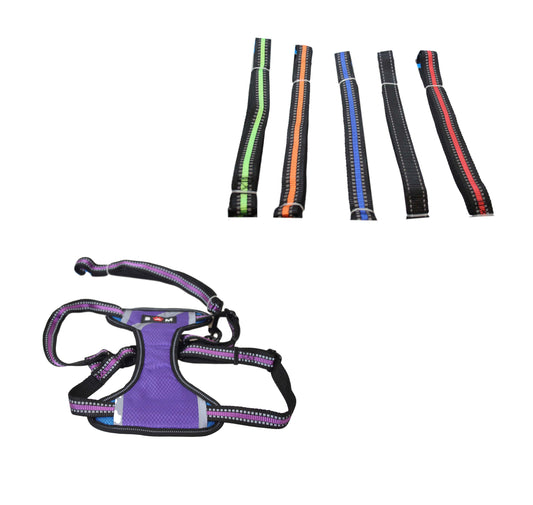 Pet Dog Leads and Harness 29 x 18 cm Assorted Colours 6032 (Parcel Rate)