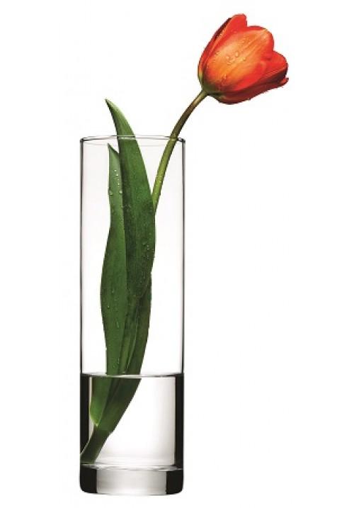 PB BOTANICA Fancy High Quality Glass Vase Ideal For Flowers 30cm 43896 (Parcel Rate)