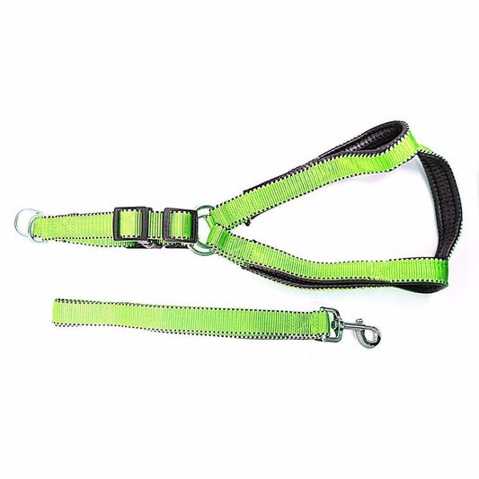 Nylon Bright Lightweight & Reflective Dog Leash With Extra Strong Harness Pet 4617 (Large Letter Rate)