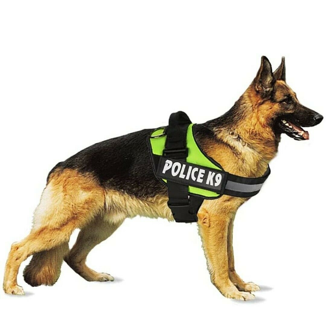 Police K9 Dog Harness Multi Colours Dog Harness Large Assorted Colours K9L (Parcel Rate)