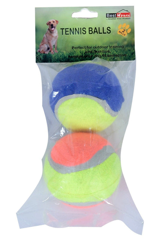 Tennis Ball Pack Of 2 Dog Training Blue Orange Pets Outdoor Fun BB4101 (Parcel Rate)